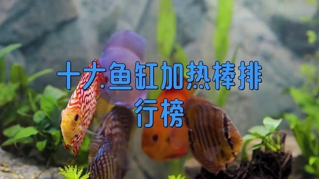 國產加熱棒哪個牌子好：十大魚缸加熱棒排行榜