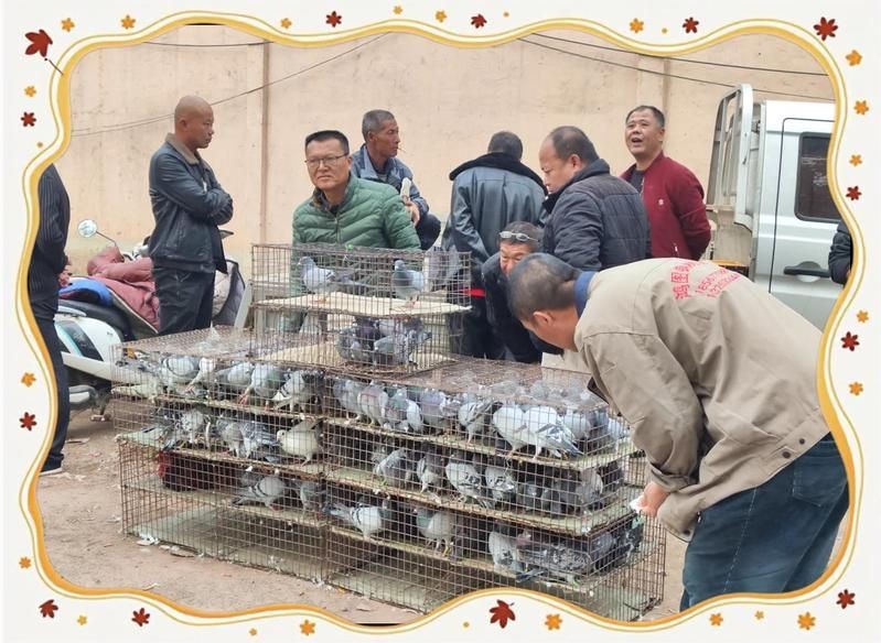 安陽魚缸批發市場：安陽哪有賣魚缸的