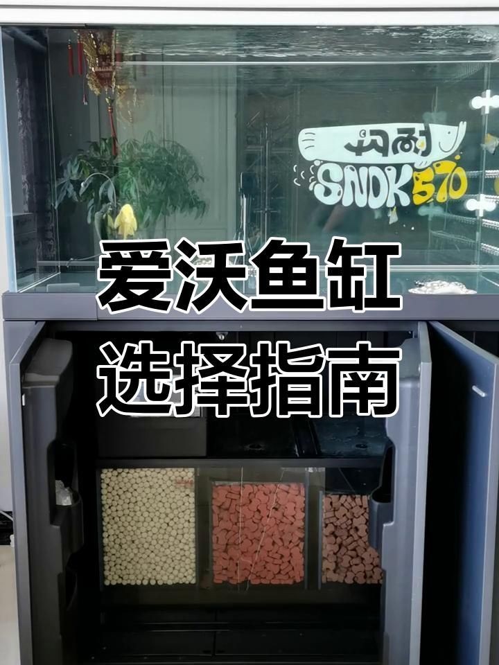 九鼎魚(yú)缸是雜牌還是名牌：九鼎魚(yú)缸是名牌還是雜牌？