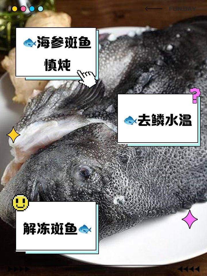 海參斑魚為什么不建議吃：海參斑魚的食用安全性存在爭議，專家建議謹慎食用海參斑魚