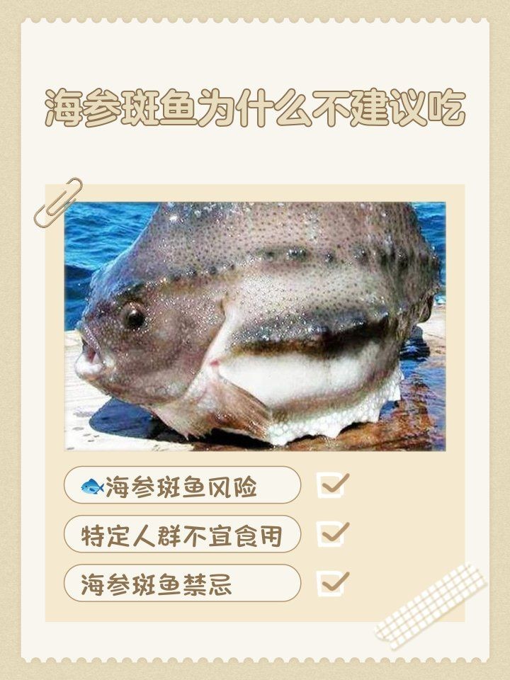 海參斑魚為什么不建議吃：海參斑魚的食用安全性存在爭議，專家建議謹慎食用海參斑魚