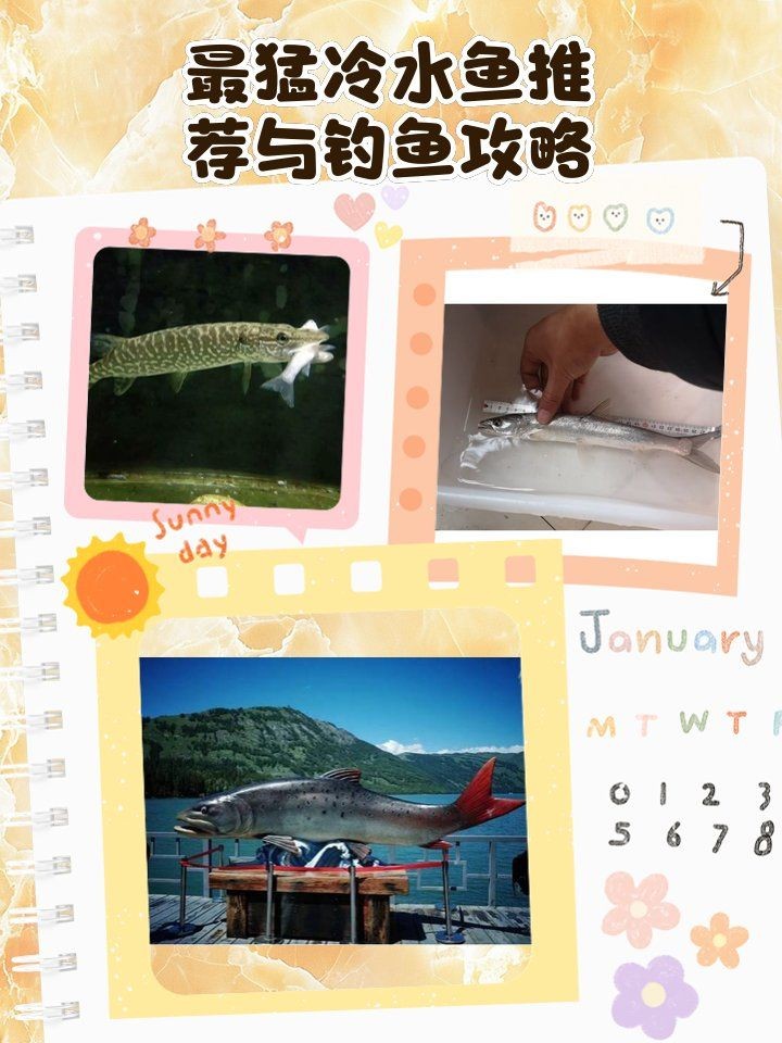 金龍魚的研發中心在哪里？（金龍魚的研發中心位于中國廣東省佛山市南海區南海區） 金龍魚的研發中心在哪里？（金龍魚的研發中心位于中國廣東省佛山市南海區南海區） 龍魚百科 第2張