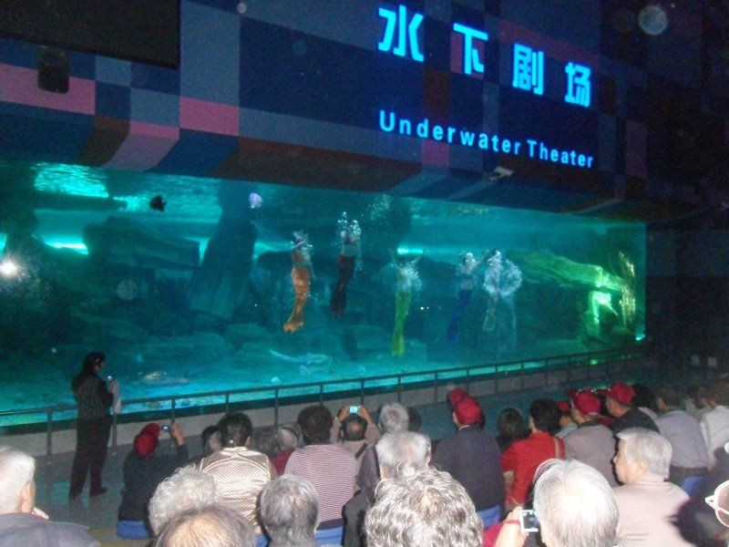 過背金龍爬背失敗的原因有哪些，——過背金龍爬背失敗的原因