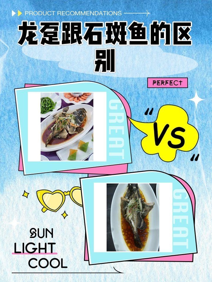 海魚龍躉:探秘海洋丨海魚龍躉 龍魚論壇 第9張 海魚龍躉:探秘海洋丨海魚龍躉 海魚龍躉:探秘海洋丨海魚龍躉 龍魚論壇 第9張