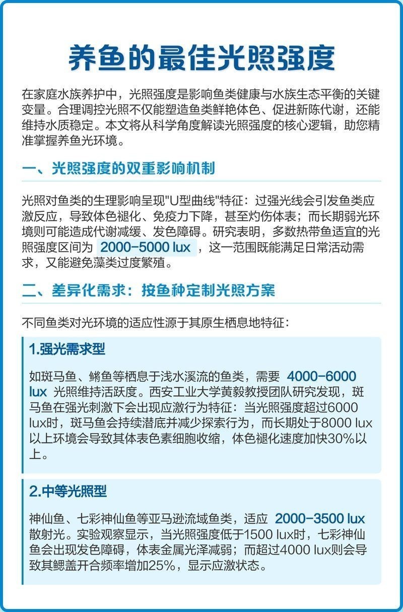 吉羅魚需要強光還是弱光：關于吉羅魚的光照管理
