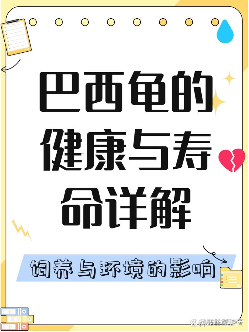 家養(yǎng)巴西龜?shù)膲勖杭茵B(yǎng)巴西龜壽命有多長
