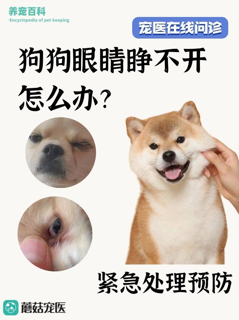 狗頭魚眼晴白了,睜不開,嘴巴張開,狀：狗頭魚眼睛發白、睜不開、嘴巴張開是怎么回事
