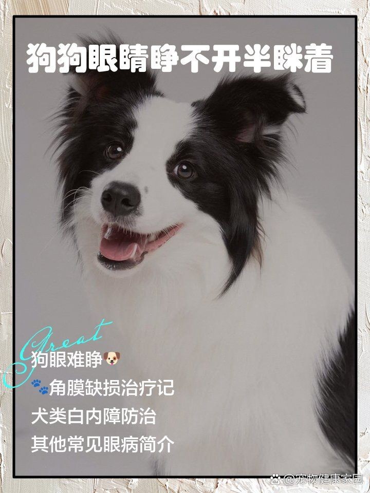 狗頭魚眼晴白了,睜不開,嘴巴張開,狀：狗頭魚眼睛發白、睜不開、嘴巴張開是怎么回事