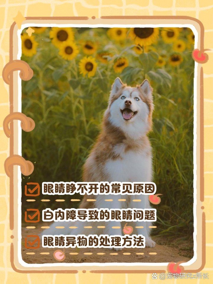 狗頭魚眼晴白了,睜不開,嘴巴張開,狀：狗頭魚眼睛發白、睜不開、嘴巴張開是怎么回事