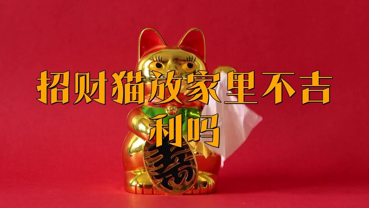 家里放招財貓擺件好不好：家里擺招財貓好嗎風水好嗎