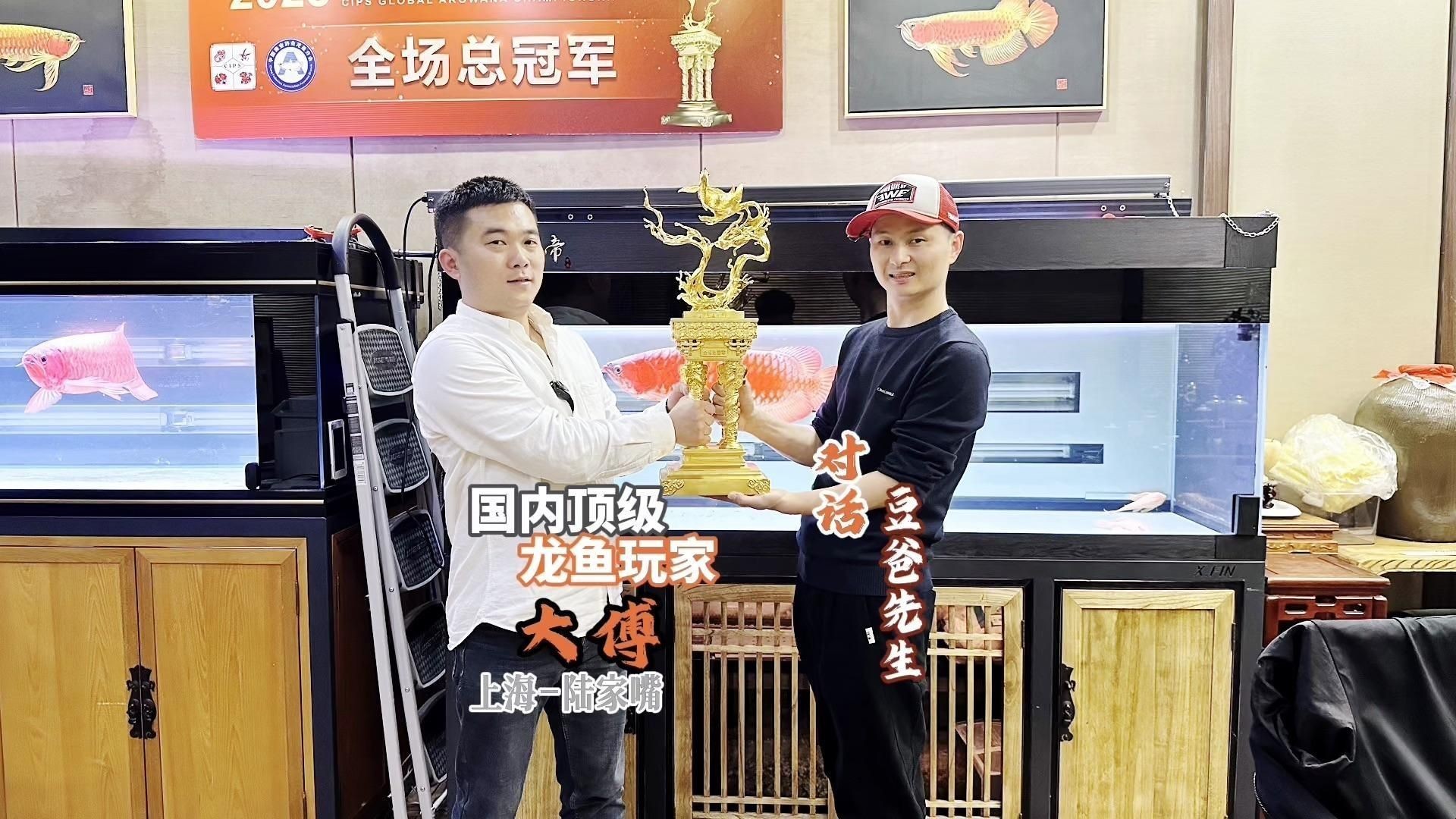 超血紅龍魚屬于什么檔次：世界最貴觀賞魚排行榜超血紅龍魚價格2688貴嗎