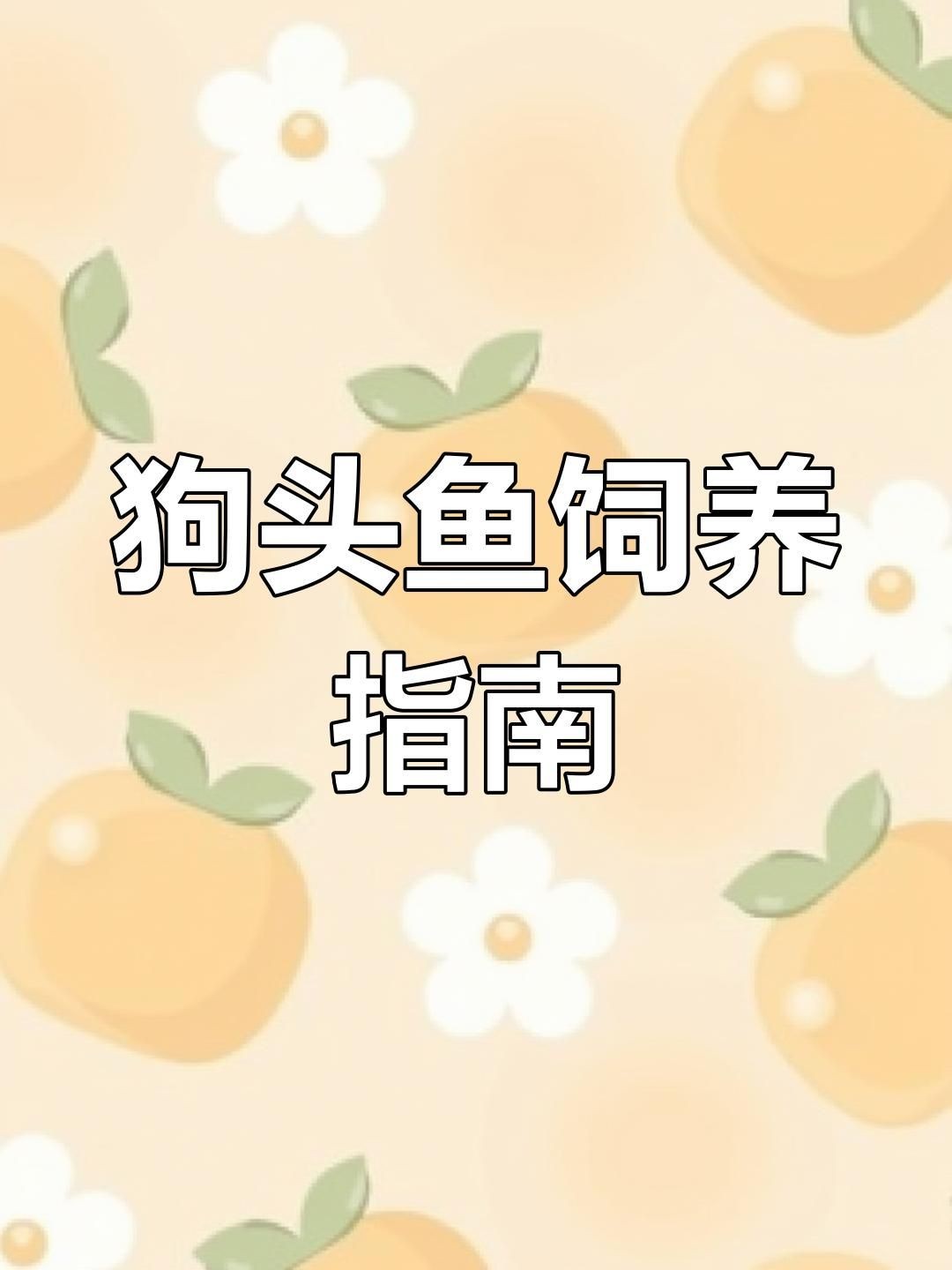 狗頭魚有哪些品種：常見狗頭魚品種介紹 狗頭魚有哪些品種：常見狗頭魚品種介紹 龍魚論壇 第5張