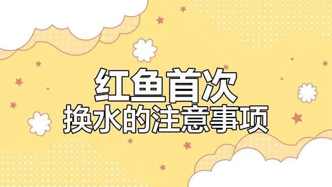 皇冠魟魚好養(yǎng)嗎：皇冠魟魚的飼養(yǎng)難度和注意事項一直是水族愛好者關(guān)注的焦點