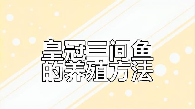 皇冠三間魚(yú)視頻：極具觀賞價(jià)值的熱帶淡水魚(yú)——皇冠三間魚(yú)