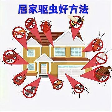 家里出現蠹蟲要警惕了：家里出現蠹蟲怎么驅蟲最有效方法，莫莫為你健康護航