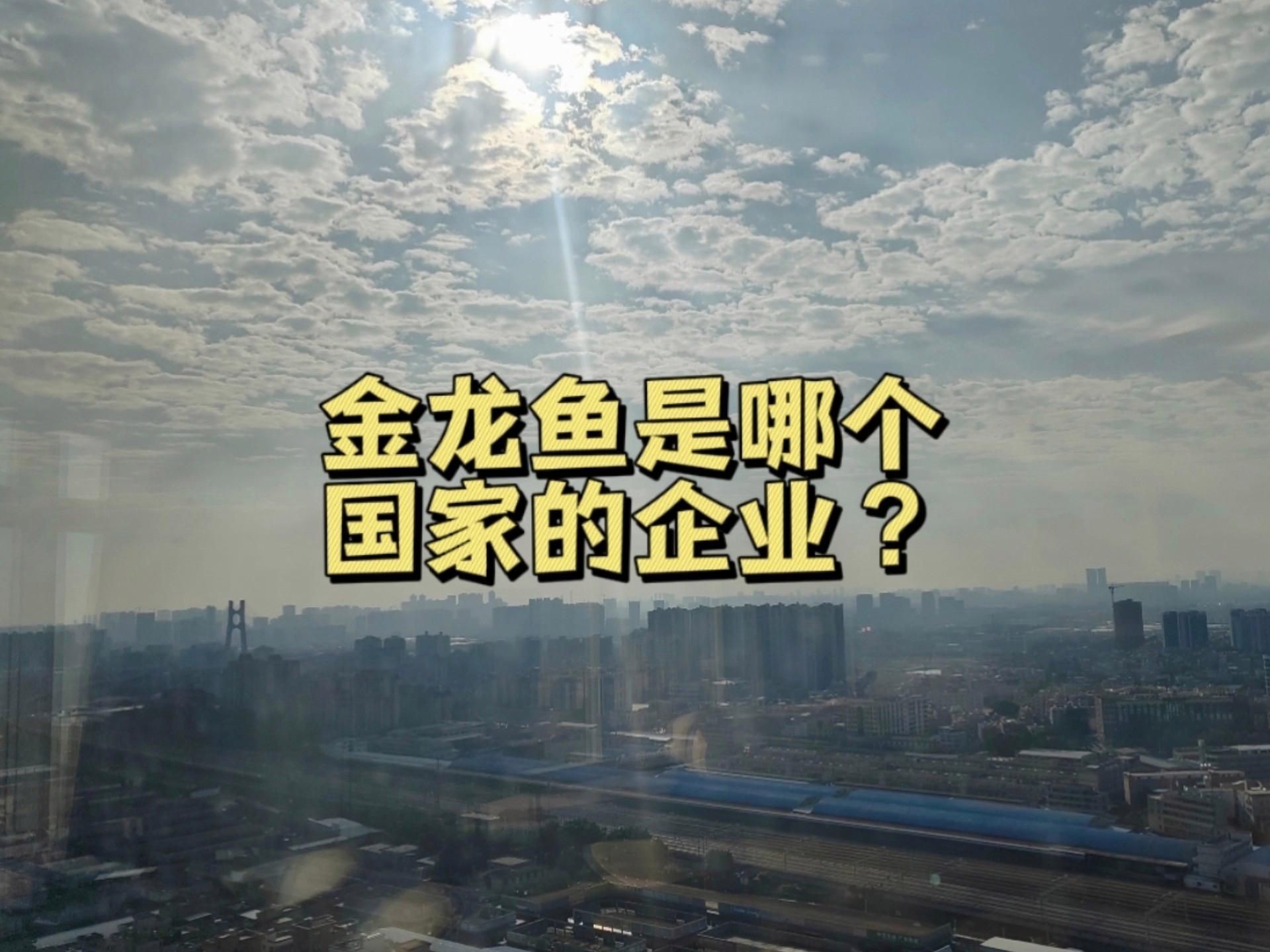 金禾金龍魚是正規(guī)品牌嗎：?jiǎn)袅▎袅ń瘕堲~是哪個(gè)國(guó)家的企業(yè)