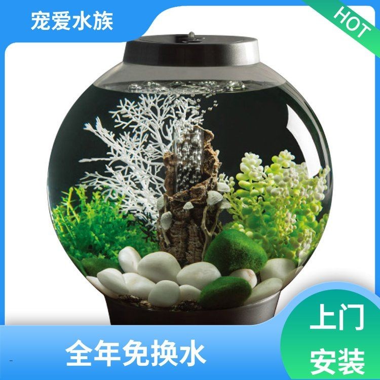 孝感魚缸批發(fā)市場：孝感魚缸批發(fā)市場是什么？