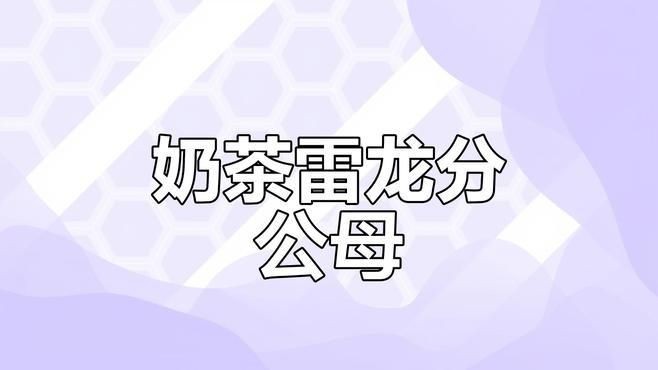 酒紅雷龍公母怎么區分：酒紅雷龍公母分辨技巧