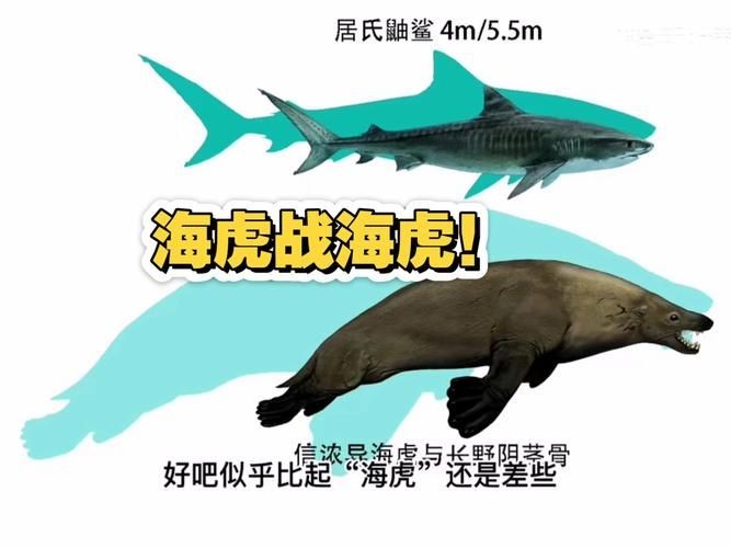 ?；㈤L(zhǎng)啥樣圖片：“?；ⅰ辈⒎钦缴飳W(xué)名稱，