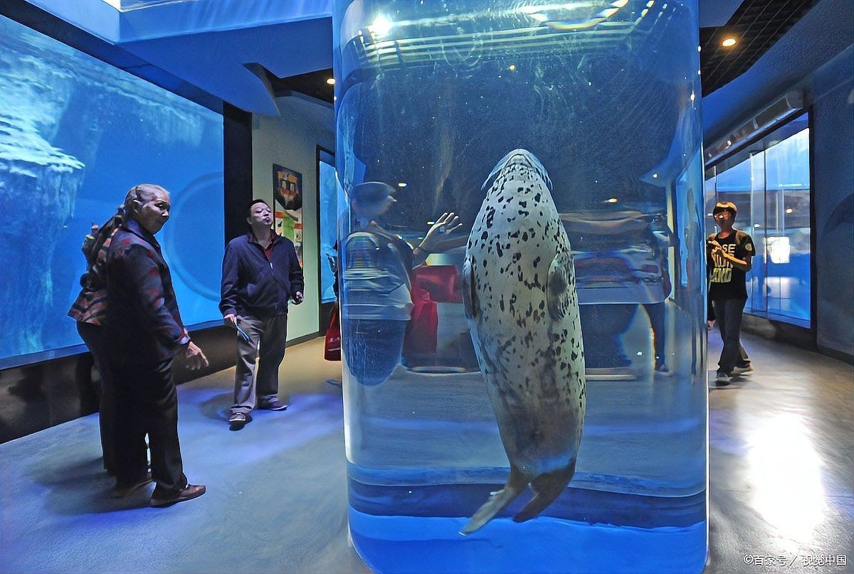 海洋館的未來(lái)發(fā)展趨勢(shì)：海洋主題公園發(fā)展趨勢(shì)