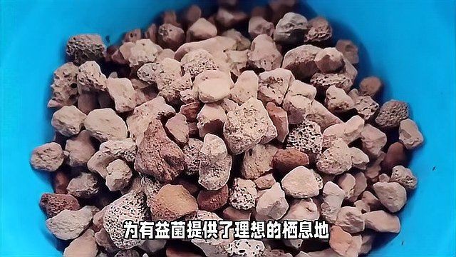 河里的天然濾材：天然沸石的應用