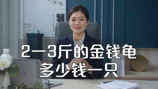 金錢龜最貴三個品種：市場上最貴的金錢龜有哪些？ 金錢龜最貴三個品種：市場上最貴的金錢龜有哪些？ 龍魚百科 第7張