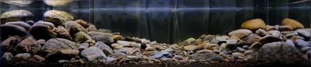 本溪魚缸定做：本溪地區魚缸定做