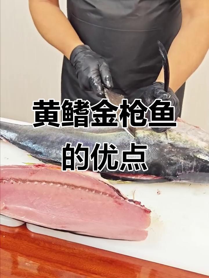 金槍魚黃鰭好還是藍鰭好：藍鰭金槍魚與藍鰭金槍魚的差異揭秘，藍鰭金槍魚大腹部位入口即化 金槍魚黃鰭好還是藍鰭好：藍鰭金槍魚與藍鰭金槍魚的差異揭秘，藍鰭金槍魚大腹部位入口即化 龍魚百科 第8張