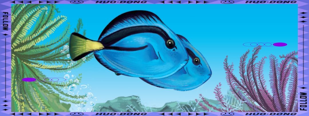 海洋里最漂亮的魚：10大最美海水觀賞魚頻道:深海珍饈石斑魚