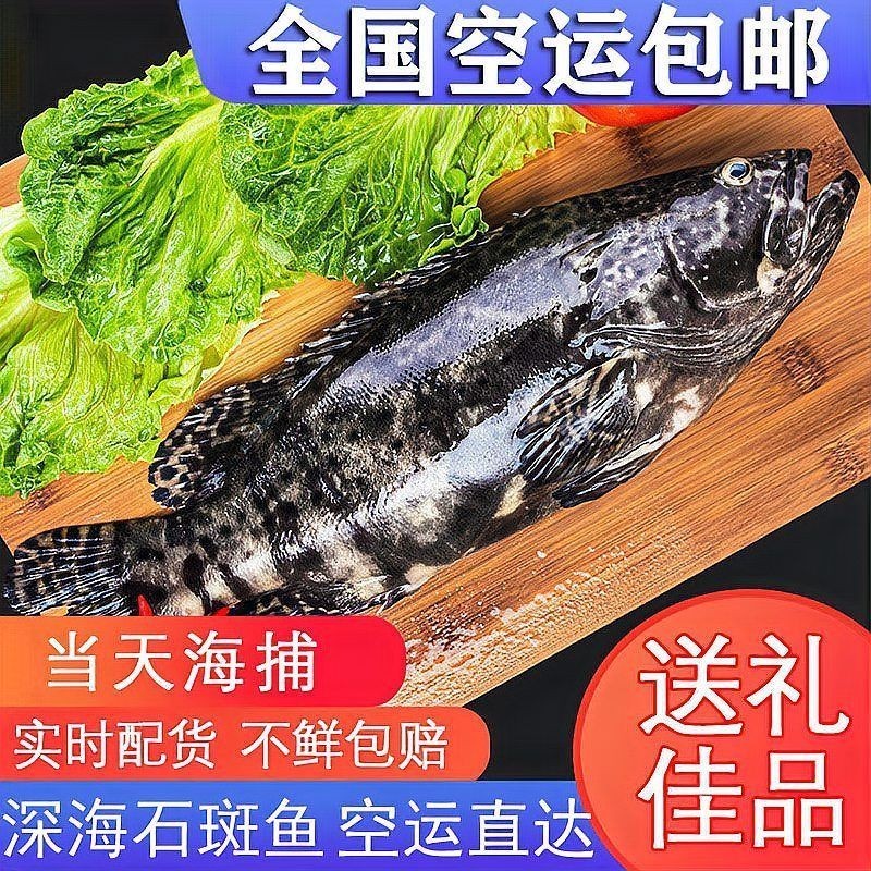 海洋里最漂亮的魚：10大最美海水觀賞魚頻道:深海珍饈石斑魚