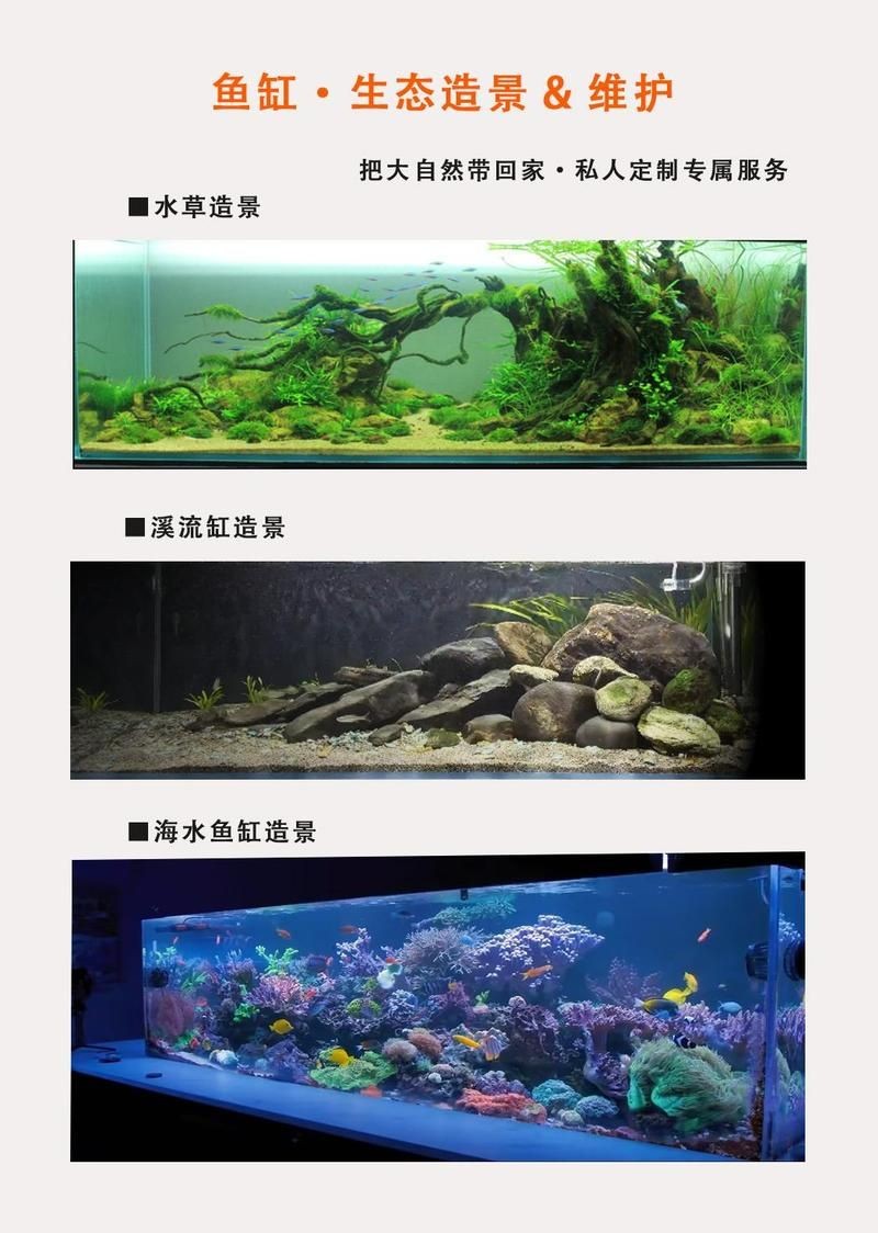 廣州魚缸維護：廣州魚缸專業維護全攻略