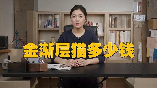 金漸層多少錢一只：金漸層貓咪價格大揭秘，今年降價幅度驚人！