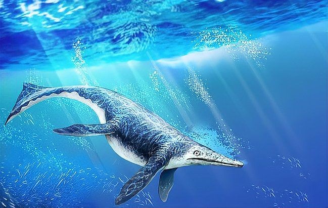 龍魚很難養(yǎng)嗎為什么（關于龍魚的問題）