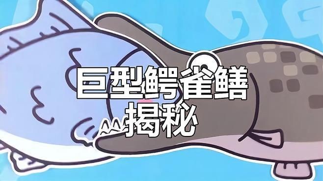 火箭魚和鱷雀鱔的區(qū)別：火箭魚與鱷雀鱔的區(qū)別