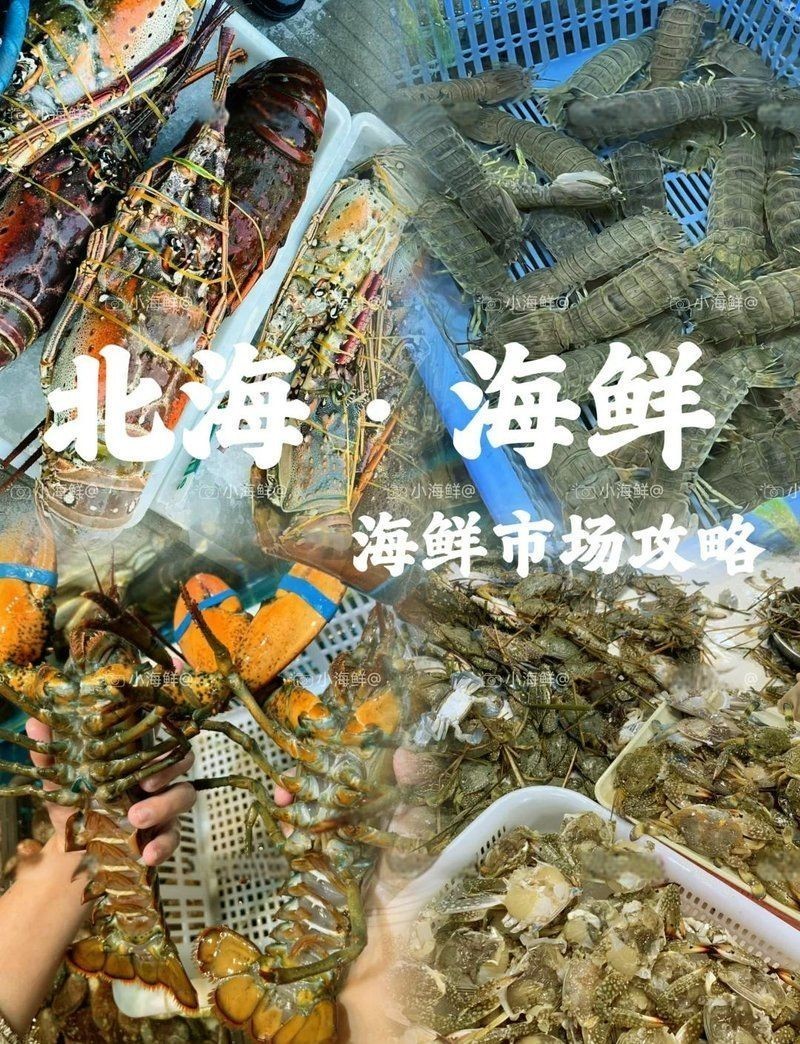 北海水族批發市場：北海水族批發市場是華南地區影響力的專業水族交易平臺