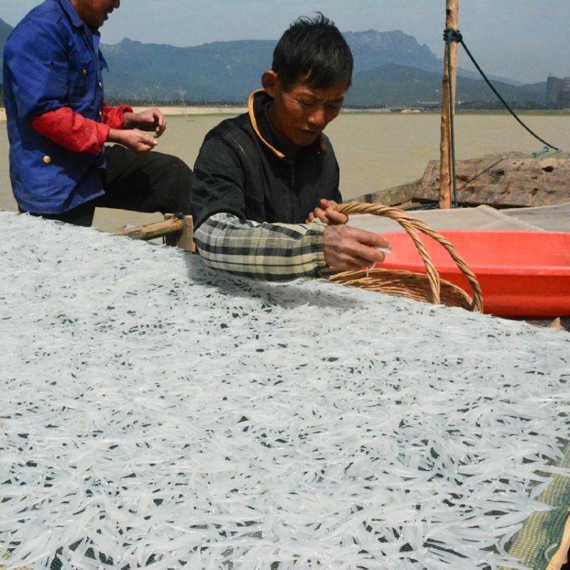 湖里的魚有哪些品種：探索多種淡水魚類,你才算是一個(gè)真正的釣魚人