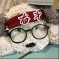 湖南魚玫瑰魚：湖南“玫瑰魚”——湖南人的味道