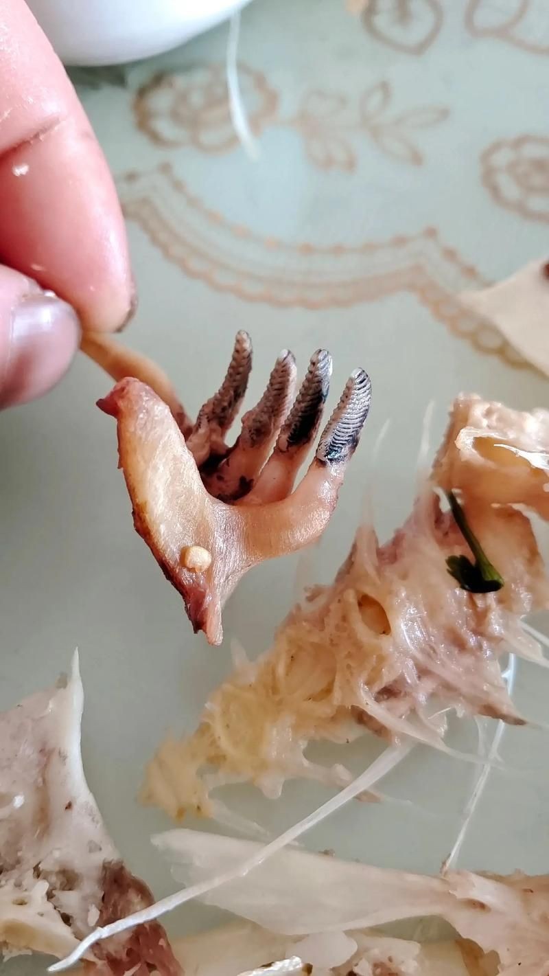 甲魚牙齒圖片大全：**《甲魚牙齒圖片大全》