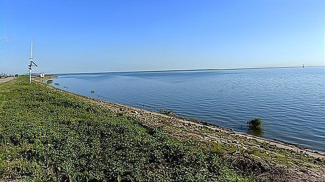 岳陽水族批發市場：岳陽水族批發市場體系剖析岳陽水族批發市場現狀