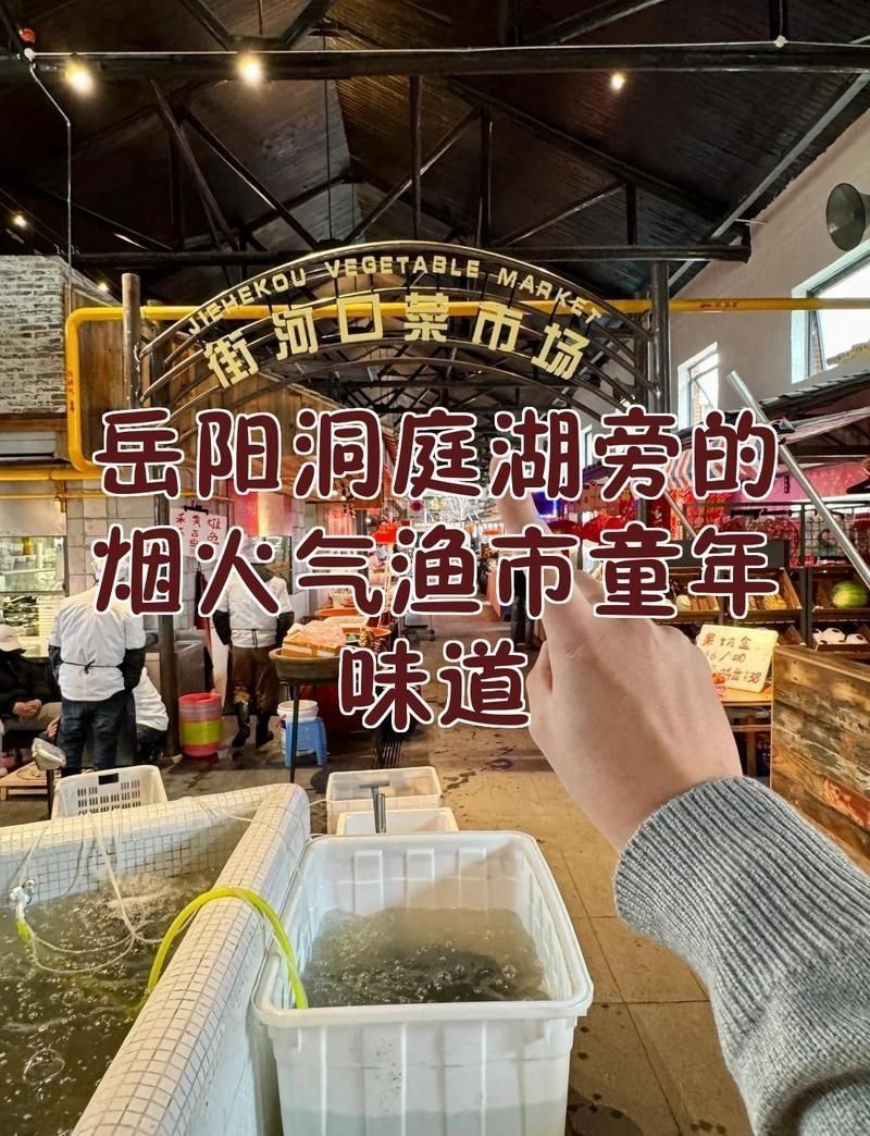 岳陽水族批發市場：岳陽水族批發市場體系剖析岳陽水族批發市場現狀