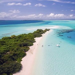 活黑魚一般多少錢一斤：活黑魚的價格受哪些因素影響？