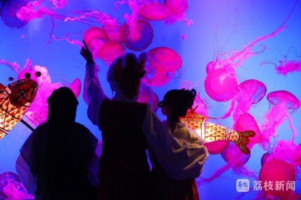 海老虎魚的圖片大全：“海老虎魚”視覺檔案高清圖片資源高清圖集展示