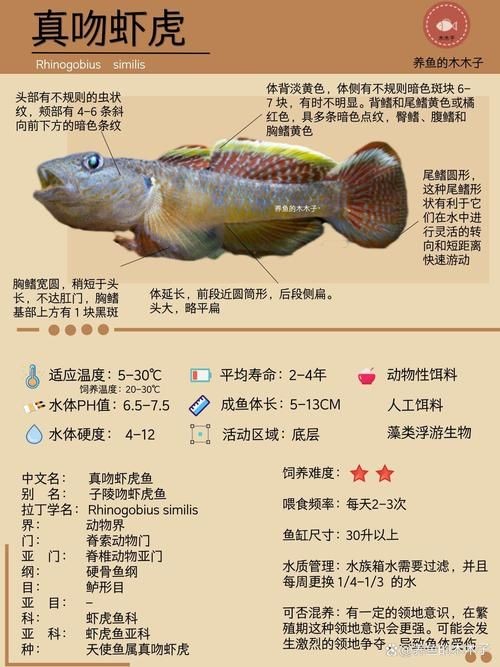 海老虎魚的圖片大全：“海老虎魚”視覺檔案高清圖片資源高清圖集展示
