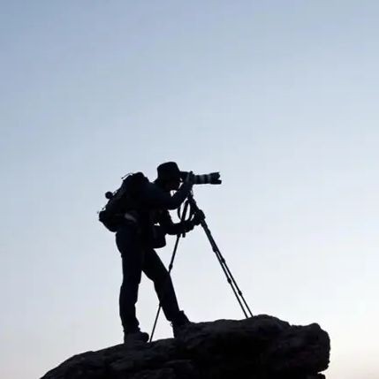 金泥鰍為什么不建議養：金泥鰍的繁殖方式是什么