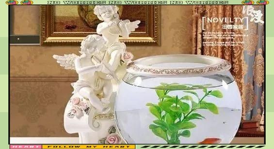 撫順魚缸維護(hù)：撫順魚缸科學(xué)養(yǎng)護(hù)全流程