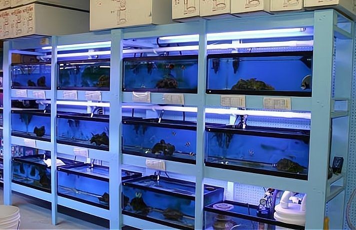 大連水族店：大連圣亞海洋世界