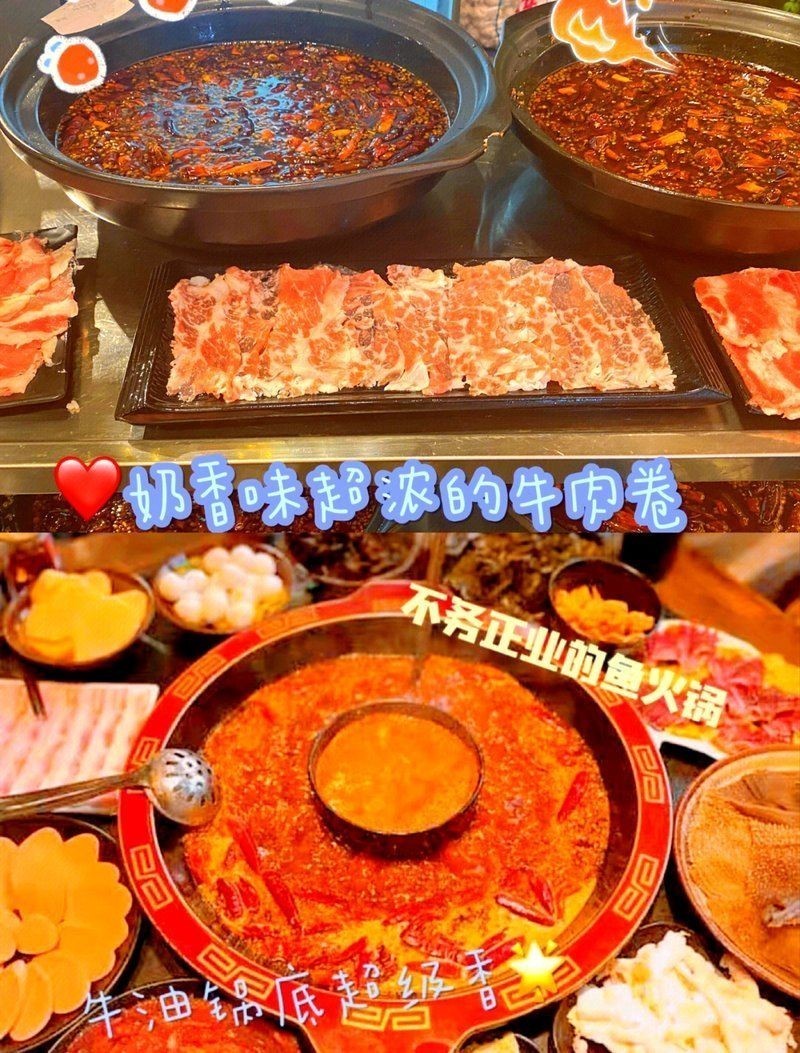 普洱龍魚店：北海普洱龍魚店開個龍魚店需要多少錢創業機遇等你來抓 普洱龍魚店：北海普洱龍魚店開個龍魚店需要多少錢創業機遇等你來抓 全國水族館企業名錄 第4張