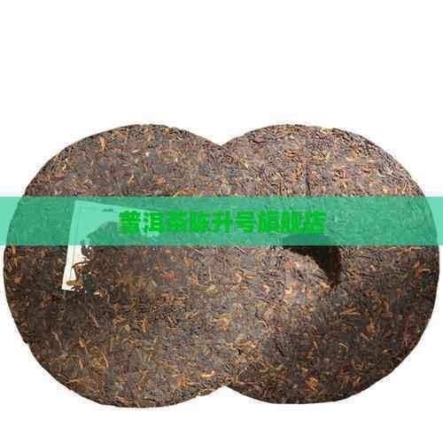 普洱龍魚店：北海普洱龍魚店開個龍魚店需要多少錢創業機遇等你來抓 普洱龍魚店：北海普洱龍魚店開個龍魚店需要多少錢創業機遇等你來抓 全國水族館企業名錄 第8張