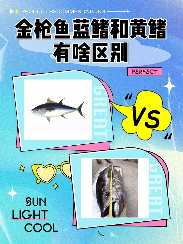 金槍魚藍鰭和黃鰭哪個貴:藍鰭金槍魚與黃鰭金槍魚市場需求差異及市場需求差異 龍魚百科 第2張 金槍魚藍鰭和黃鰭哪個貴:藍鰭金槍魚與黃鰭金槍魚市場需求差異及市場需求差異 金槍魚藍鰭和黃鰭哪個貴:藍鰭金槍魚與黃鰭金槍魚市場需求差異及市場需求差異 龍魚百科 第2張