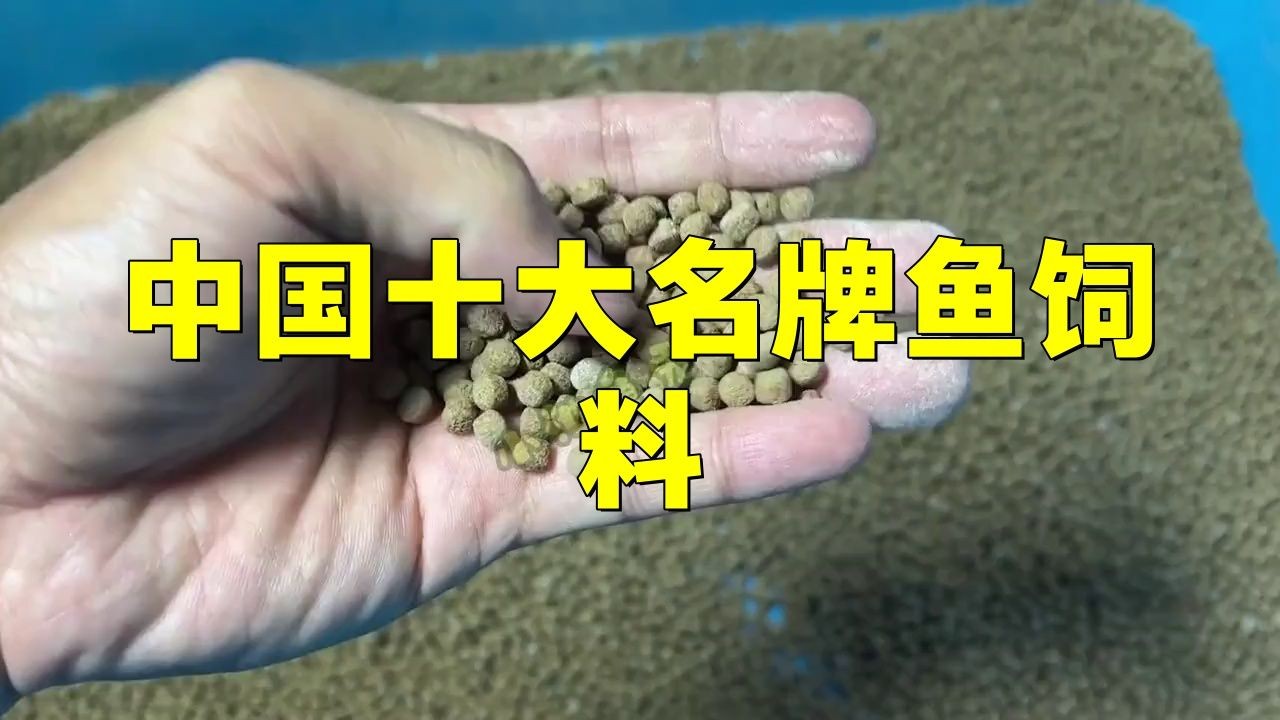 國(guó)產(chǎn)魚(yú)糧十大排名：2018國(guó)產(chǎn)魚(yú)糧十大排名榜單